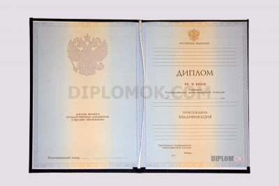 диплом вуза 2012 2013
